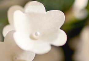 How To: Simple Pin Blossoms