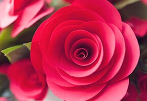 How To: Spiral Paper Roses